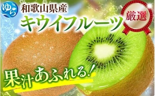 [11月より発送]厳選 キウイフルーツ0.5kg+250g(傷み補償分)[扁平果] / フルーツ 果物 おすすめ 和歌山 キウイフルーツ キウイ [ikd038D]