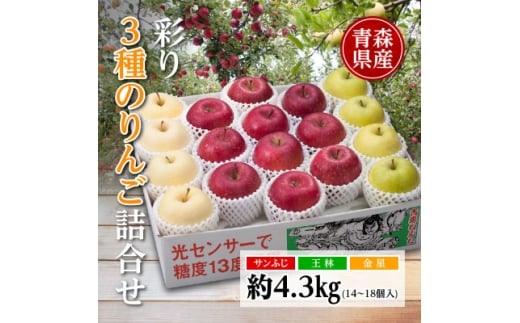 りんご/青森県産　彩り3種のりんご詰合せ 約4.3kg【1655312】