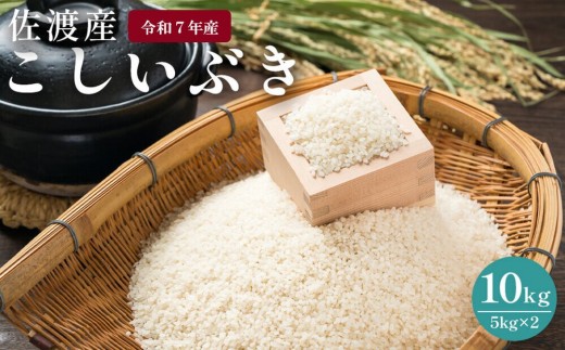 佐渡島産　こしいぶき　10kg（5kg×2）　令和7年産 1921857 - 新潟県佐渡市