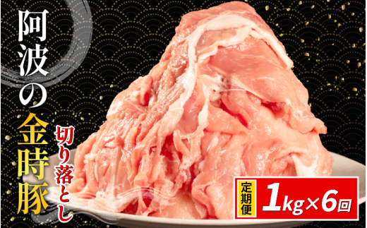 阿波の金時豚 豚肉 切り落とし 定期便 6回 1kg (500g×2) ブランド豚 金時豚 小分け 真空パック 冷凍 国産 赤身 ウデ モモ 生姜焼き 野菜炒め 豚汁 豚丼 中華炒め 豚こま 鍋 ポークカレー カレー 肉じゃが 回鍋肉 内祝い ギフト 贈り物 冷凍 徳島 阿波