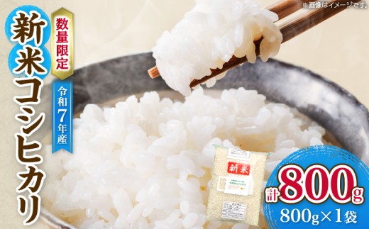 令和7年産 新米 コシヒカリ 計800g お米 ご飯 ライス 国産 数量限定 人気 食品 精米 白米 こしひかり 有洗米 おにぎり お弁当 炊き込みご飯 雑炊 ギフト プレゼント 贈り物 お取り寄せ 産地直送 宮崎県 日南市 送料無料_ZVV2-25 2302742 - 宮崎県日南市
