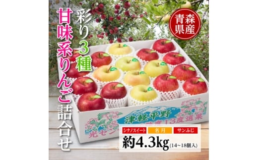 りんご/青森県産　彩り3種甘味系りんご詰合せ(高糖度)約4.3kg【1655321】