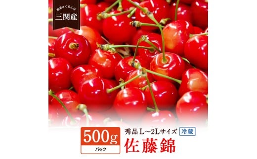数量限定！「冷蔵」佐藤錦 500g 秀L～2Lサイズ【田村果樹園】[H10802]