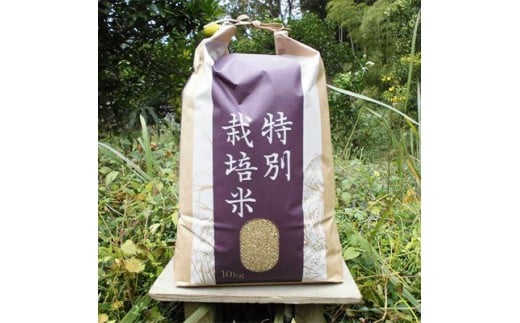 【令和7年産】『タガメの里・自然米』ぴかまる 玄米10kg  【有機JAS認証米】 | お米 おこめ 米 コメ こめ ぴかまる 玄米 有機JAS認証米 兵庫県 上郡町											