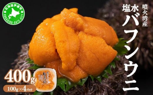 [5525-0869]北海道 噴火湾産 塩水 バフンウニ 100g 4パック 計400g うに ウニ 雲丹 海鮮 海の幸 魚介類 ウニ丼 お寿司 濃厚 無添加 産地直送 お取り寄せ 山村水産 送料無料