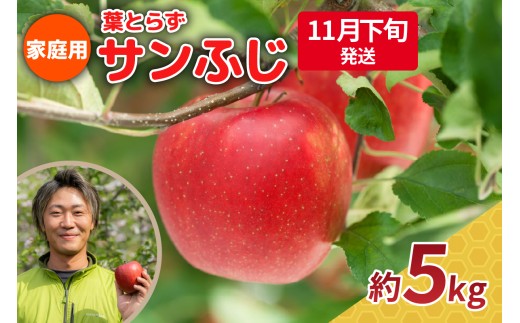【2025年11月下旬発送】りんご 5kg 程度 葉とらず サンふじ 11月 12月 家庭用 青森産 りんご ふじ 【 サンふじりんご 葉とらずりんご リンゴジュースやお菓子作りにも くだものフルーツ果物林檎約5kg 】 2259091 - 青森県五所川原市
