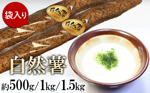 [ 容量が選べる ]自然薯 約500g / 1kg / 1.5kg ( カット済 )[ ※ 重量に合わせてお届け ][ 2025年12月〜2026年3月ごろ発送予定 ][ 山芋 やまいも とろろ 人気 おすすめ 自然薯 ごはん 米 蕎麦 ]