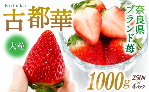 ブランド苺 新鮮 古都華 (大粒) 約500g [250g×4パック] 【2026年1月上旬～5月下旬に順次発送】／ スマイル葛城農業 ブランド いちご 苺 ことか イチゴ スイーツ フルーツ 甘い 果物 奈良県 葛城市【smlk002】
