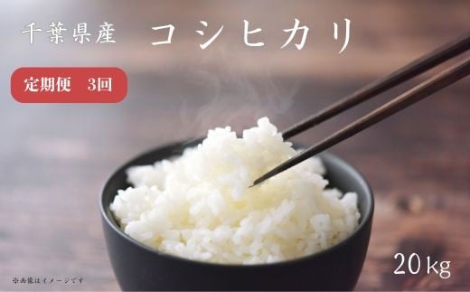 【定期便3回】《 令和7年産 》千葉県産コシヒカリ20kg ／ 米 こめ コメ お米 おこめ コシヒカリ こしひかり 令和7年 新米 白米 精米 ごはん 20kg 定期便 送料無料