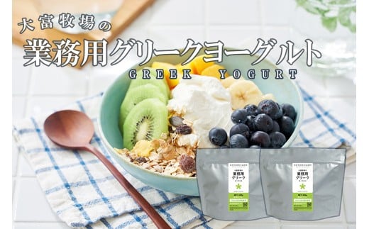 CK019_大富牧場の業務用グリークヨーグルト４５０ｇ×２個
