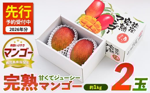 [2026年 発送]鹿児島県指宿市産 完熟マンゴー 2玉(約1kg)(花立山農業研究所/022-1781) マンゴー フルーツ 果物 夏 旬 果実 くだもの 鹿児島県産 国産 完熟 農家直送 産地直送 産直 トロピカル トロピカルフルーツ 南国 指宿 鹿児島