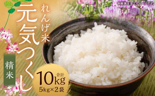 【れんげ米】【令和7年産】 元気つくし（精米） 10kg（5kg×2袋） お米 白米 【2025年9月下旬-12月下旬迄順次発送予定】 2208865 - 福岡県嘉麻市