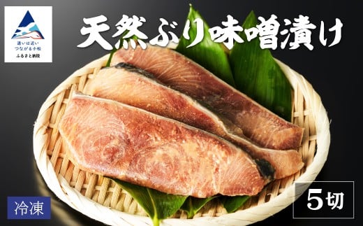 天然ブリ味噌漬け 5切れ 冷凍便 鰤 ぶり 小松市 石川県 【株式会社竹本商店】