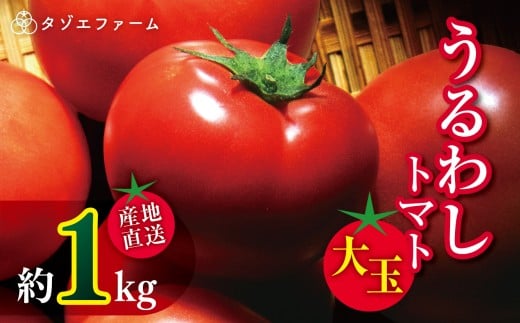 【タゾエファーム】うるわし トマト 大玉 1kg | 野菜 やさい とまと 産地直送 熊本県 玉名市