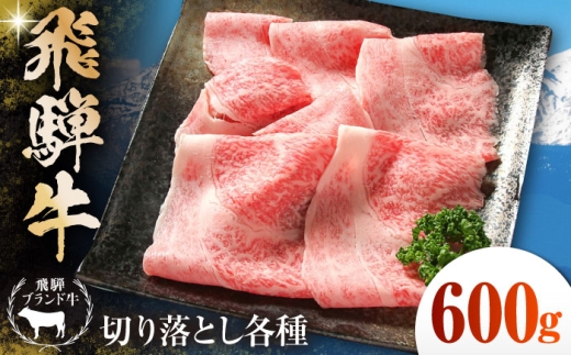 飛騨牛 切落とし 600g(約150g×4パック) 小分け 多治見市 / 飛騨高山ミート MZ001 冷凍 真空パック ブランド和牛 [THP001] 2294883 - 岐阜県多治見市