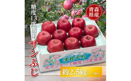りんご/青森県産　糖度13度選果 サンふじ 約2.5kg【1655310】
