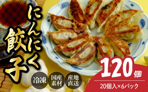 にんにく餃子20個×6箱 餃子 120個 人気店の旨味あふれる冷凍餃子 | 大容量 ギョウザ 冷凍餃子 ギョーザ 冷凍ギョウザ 冷凍 冷凍ぎょうざ ぎょうざ ぎょーざ おいしい 手軽 食べ比べ 美味しい おつまみ 国産野菜 中華 簡単調理 惣菜 北本フーズ 埼玉県 北本市