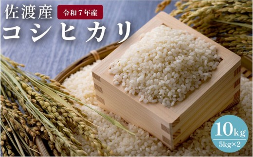 佐渡島産　コシヒカリ　10kg（5kg×2）　令和7年産 1921859 - 新潟県佐渡市