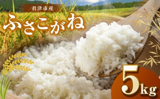 新米 【令和7年産】君津市産 ふさこがね（精米）5kg | JA さだもと 米 こめ お米 おこめ 白米 精米  千葉県 君津市 きみつ 1467886 - 千葉県君津市