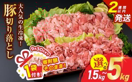 [9/30まで!!]≪内容量が選べる≫大人気 生冷凍 厳選 豚切り落とし 国産 食品 豚肉 ぶた ポーク 小分け 個包装 真空パック 便利 大容量 生姜焼き 野菜炒め 豚汁 肉じゃが 豚丼 お弁当 おかず 晩ご飯 おすすめ 使い切りサイズ 万能食材 おすそ分け 宮崎県 日南市 送料無料_S-BB158-25-ZO-2W