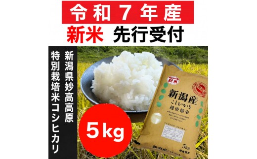 【令和7年産新米・先行予約】新潟県妙高高原減農薬特別栽培米コシヒカリ 5kg（5kg×1袋）【10月下旬から発送予定】 1030708 - 新潟県新潟県庁