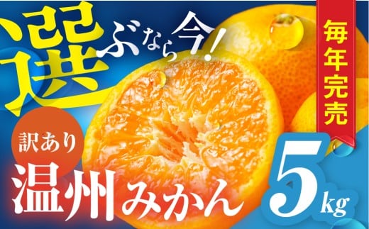 【年末配送】豊橋みかん 訳あり 5kg 1616479 - 愛知県豊橋市