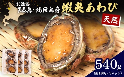 [北海道]天売島・焼尻島産 天然蝦夷あわび 540g (約180g×3パック) | 天然 あわび 殻付き 海鮮 おつまみ 魚介類 酒の肴 高級 食材 冷凍 刺身 バター焼き 炊き込みご飯 ソテー グルメ お祝い 贈答品 食卓 特別 旨味 凝縮 北海道 天売島 焼尻島 お取り寄せ ワンストップ マイページ マリナシーフーズ 羽幌町[02147]