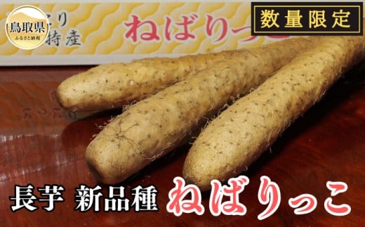 B24-216 ねばりっこ【数量限定】 593647 - 鳥取県鳥取県庁