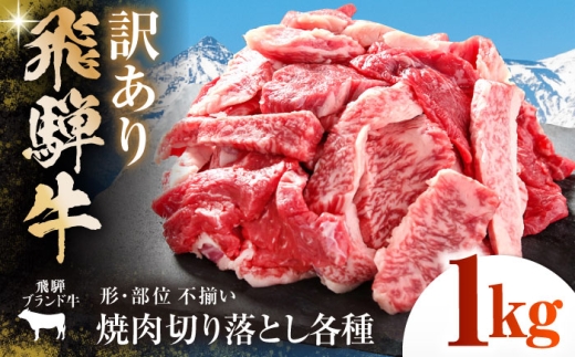 【訳あり】 飛騨牛 焼肉 切り落とし 1kg(500g×2パック) 多治見市 / 飛騨高山ミート MZ036 冷凍 真空パック ブランド和牛 [THP027]