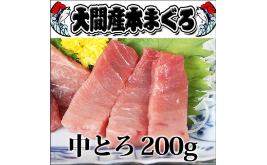 大間産本マグロ 中トロ 200g前後(約2人前)【1657763】