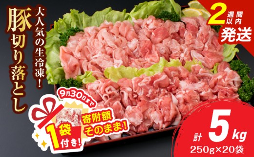 【9/30まで!!】大人気 生冷凍 厳選 豚切り落とし 計5kg 豚肉 おすすめ 国産 食品 焼肉 肉じゃが 豚汁 野菜炒め おかず お弁当 晩ご飯 グルメ 小分け 個包装 真空パック おすそ分け お取り寄せ 新鮮 万能食材 宮崎県 日南市 送料無料_E51-25-ZO-2W 2154355 - 宮崎県日南市