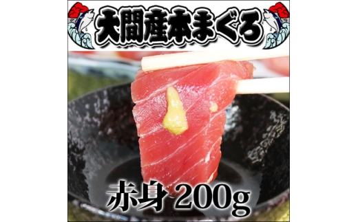 大間産本マグロ 赤身 200g前後(約2人前)【1657762】