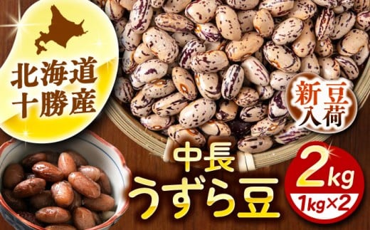 【R7年度産新豆 受付中】北海道 あしょろの中長うずら豆 1kg×2袋《足寄町》【党崎農場】中長鶉 中長うずら豆 うずら豆 インゲン豆 北海道産 [BEAA022] 1269628 - 北海道足寄町