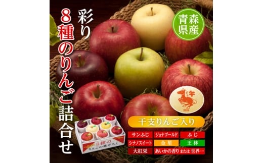 りんご/青森県産　彩り8種のりんご詰合せ(干支りんご入り)【1655323】