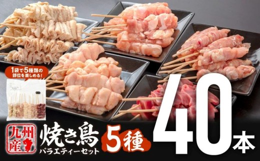 【11月発送予定】九州産若鶏 焼き鳥5種(40本)バラエティーセット_M146-015_nov 2296699 - 宮崎県宮崎市