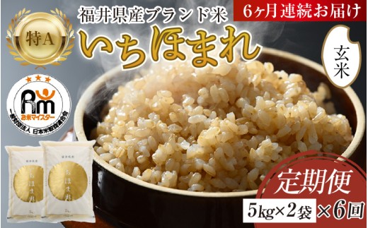【令和7年産・新米】定期便6回 いちほまれ 玄米 10kg×6回（計60kg）《新鮮な高品質米をお届け！》／ 福井県産 ブランド米 ご飯 [aw064-l002]