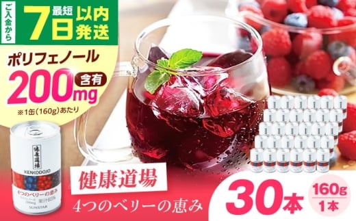 【最短7日以内発送】 健康道場 4つのベリーの恵み 160g×30本 ポリフェノール 健康飲料 飲料 果物 ブルーベリー ラズベリー ベリー 香料無添加 着色料無添加 保存料無添加 野菜ジュース まとめ買い 大阪府高槻市/サンスター [AOAD052]