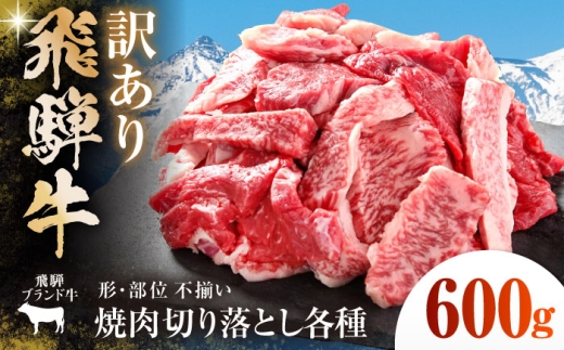 【訳あり】 飛騨牛 焼肉 切落とし 600g(150g×4パック) 小分け 多治見市 / 飛騨高山ミート MZ014 冷凍 真空パック ブランド和牛 [THP013]