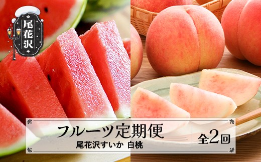 【先行予約】フルーツ定期便  全2回  スイカ もも 秀品 2026年7月中旬~発送開始 2026年産 令和8年産 佐竹物産 ※沖縄・離島への配送不可  sb-fts2x-b-mo