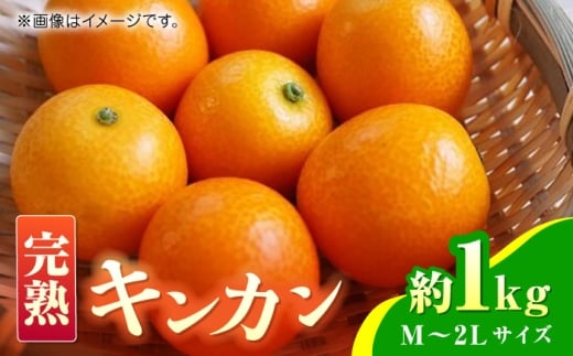 【先行予約】【数量限定】完熟 キンカン 約1kg 【くまふる】 [ZBG079]