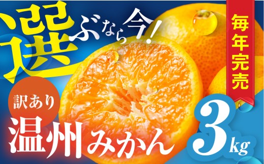 [年末配送]豊橋みかん 訳あり 3kg