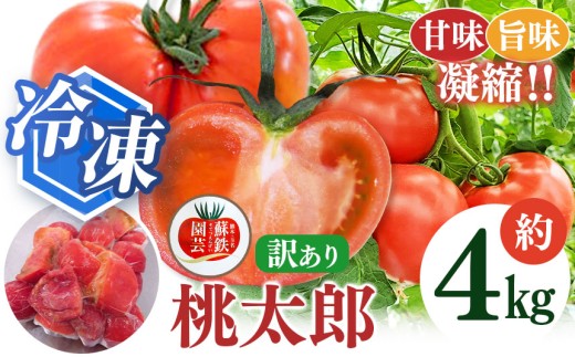 冷凍桃太郎トマト 4kg | トマト 冷凍トマト 訳あり 4キロ 旬 熊本県 玉名市
