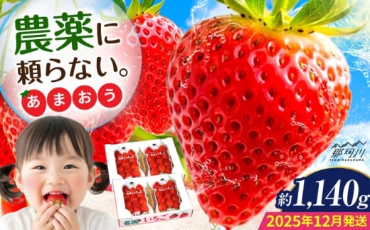 【2025年12月より発送】『自然環境農法』で育てた福岡県産 あまおう 約285g×4パック＜おおきべりー株式会社＞那珂川市 [GZE008]