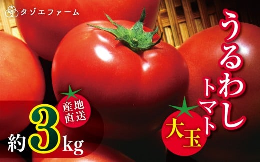 【タゾエファーム】うるわし トマト 大玉 3kg（1kg×3） | 野菜 やさい とまと 産地直送 熊本県 玉名市