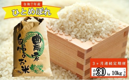 [3ヶ月連続定期便]農家直送!新米 令和7年度産 宮城県亘理町産 ひとめぼれ 10kg(計30kg) お米 ライス 白米 精米 ブランド米 ご飯 炭水化物