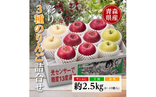 りんご/青森県産　彩り3種のりんご詰合せ 約2.5kg【1655314】