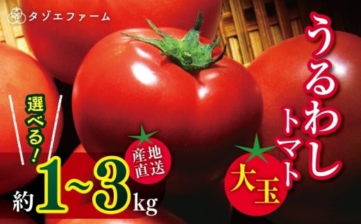[タゾエファーム]容量 選べる 1kg 2kg 3kg うるわし トマト 大玉 | 野菜 やさい とまと 産地直送 熊本県 玉名市