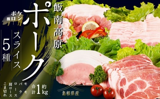 飯南高原ポークお試し5種セット　【 国産 島根県産 豚肉  鍋 バーベキュー BBQ 冷凍 個包装 小分け 真空パック 豚ロース 豚ばら 豚肩ロース 豚もも 豚こま 切落し スライス 便利 人気 セット 詰め合わせ 1kg】Ａ-75 1486684 - 島根県飯南町
