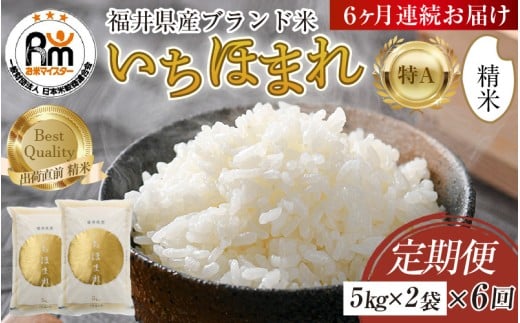 【令和7年産・新米】定期便6回 いちほまれ 精米 10kg×6回（計60kg）《お米マイスターが発送直前に精米！》／ 福井県産 ブランド米 ご飯 白米 新鮮 [aw064-n001]