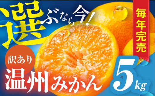 温州みかん ご家庭用 5kg 訳あり 年末配送 年内配送 選べる わけあり 5キロ みかん ミカン 蜜柑 mikan 柑橘 旬 フルーツ 果物 愛知県 豊橋市 国産 豊橋産 愛知県 豊橋市